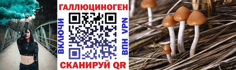 Псилоцибиновые грибы прущие грибы  Купить  Южноуральск 